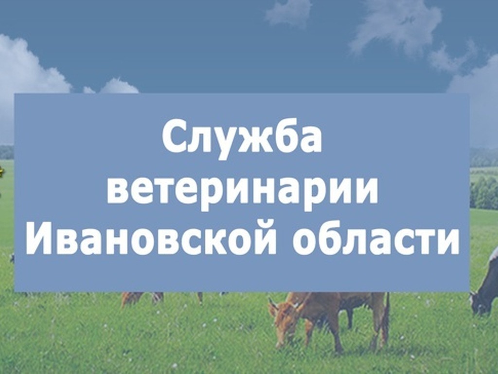 Служба ветеринарии Ивановской области.
